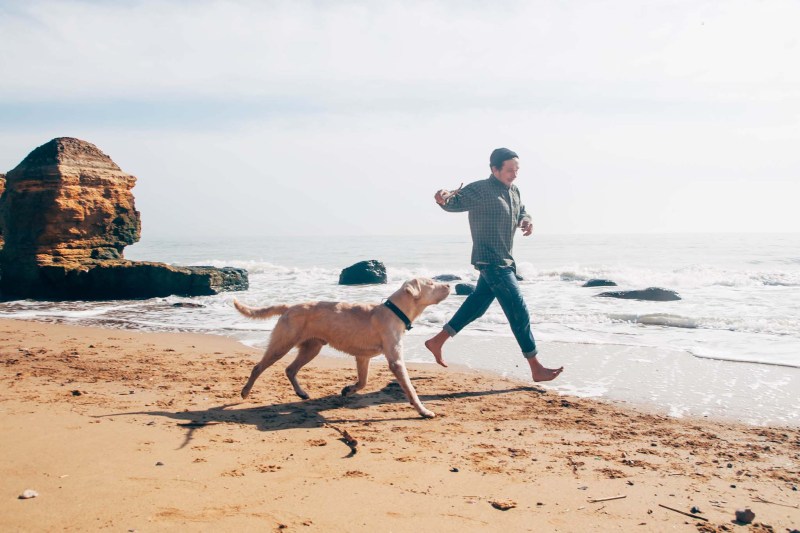 Dog Friendly Vacation Ideas East Coast